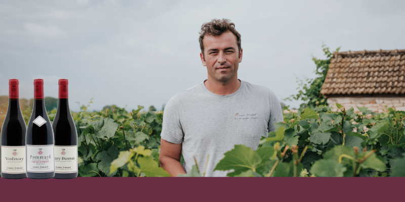 Clos Des Epeneaux 2023 Monopole Du Comte Armand : L&rsquo;histoire D&rsquo;un Terroir D&rsquo;exception